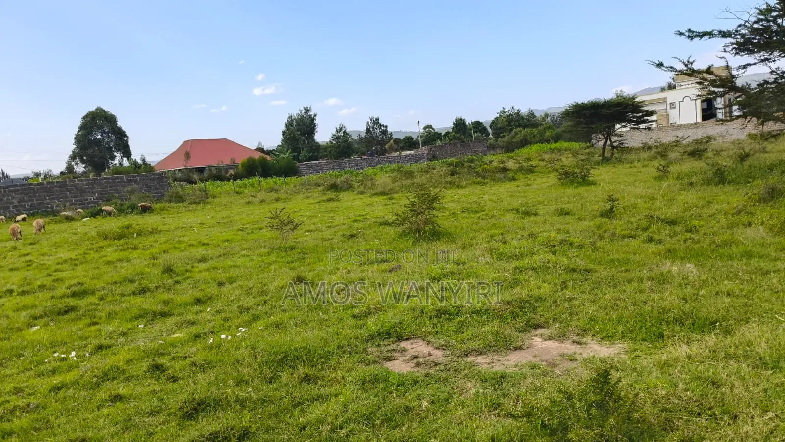 Prime 50*100 Plot in Pema Estate, Nakuru, for Urgent Sale