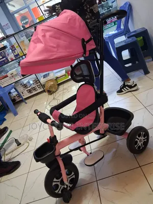Foldable Baby Stroller/Canopy