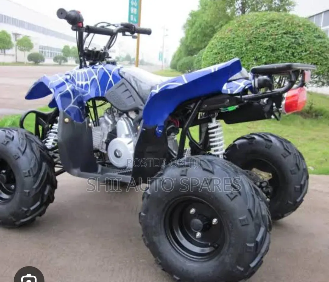 Quad Bike Engine 110_125cc