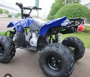 Quad Bike 110cc