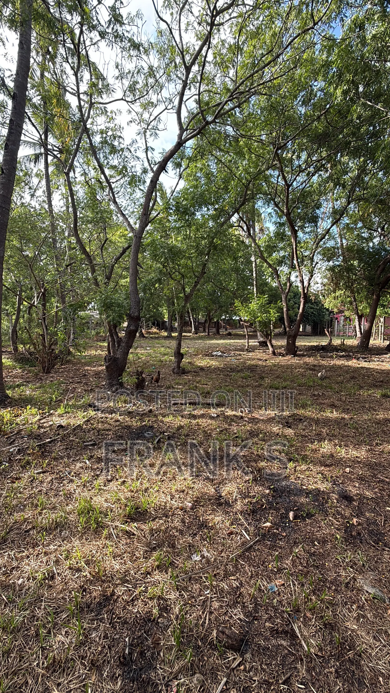 Best Location in Watamu, Dongokundu - Watamu Souh
