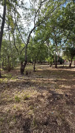 Best Location in Watamu, Dongokundu - Watamu Souh