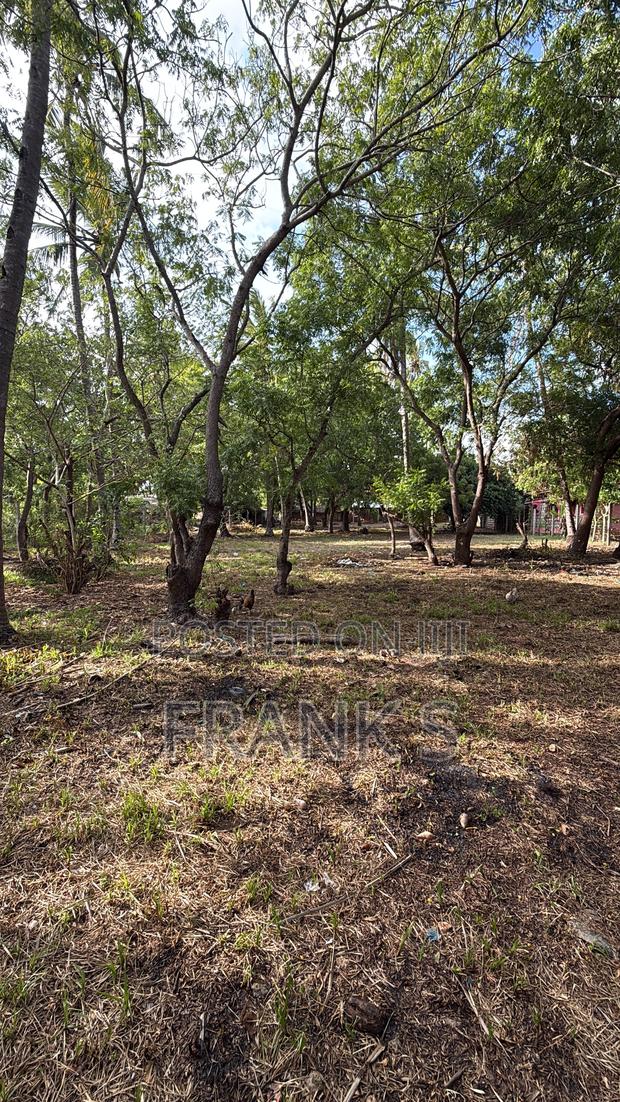Best Location in Watamu, Dongokundu - Watamu Souh - thumbnail 4