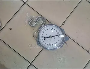 Salter Hanging Scale 100kgs