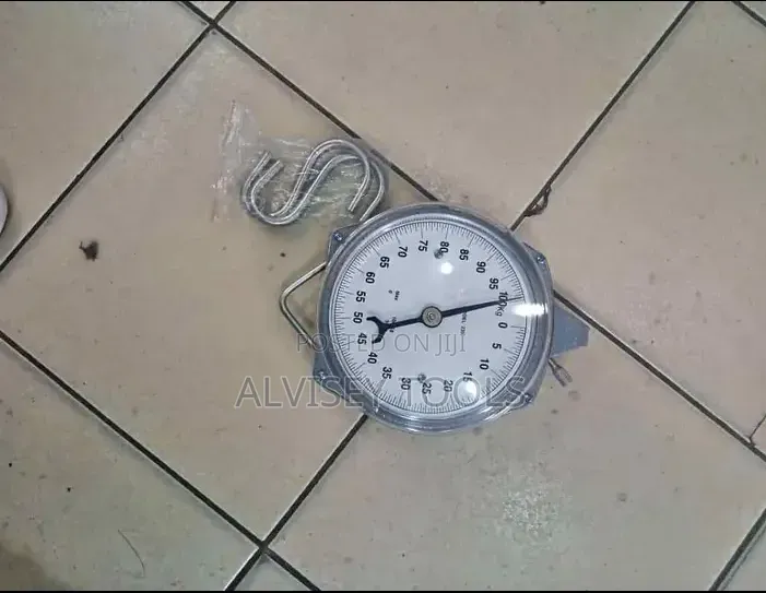 Salter Hanging Scale 100kgs