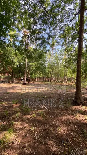 Best Location in Watamu, Dongokundu - Watamu Souh