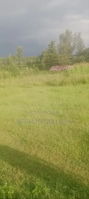 Land Property for Sale