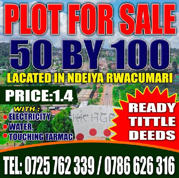 Ndeiya Rwacumai Plots