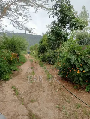 Ndeiya Rwacumai Plots