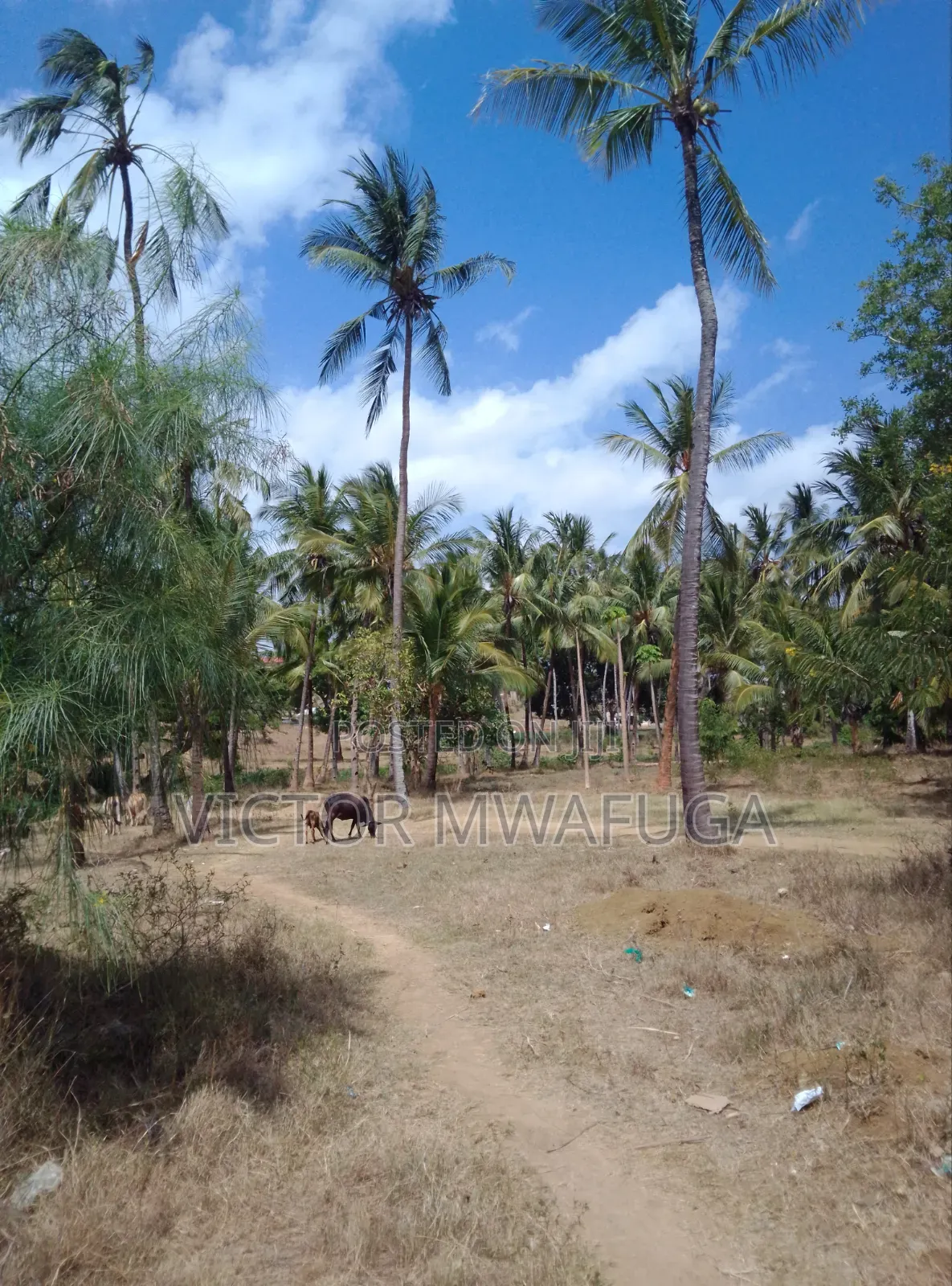 Land on Sale