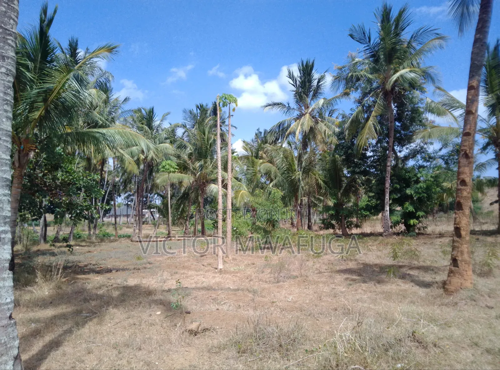Land on Sale