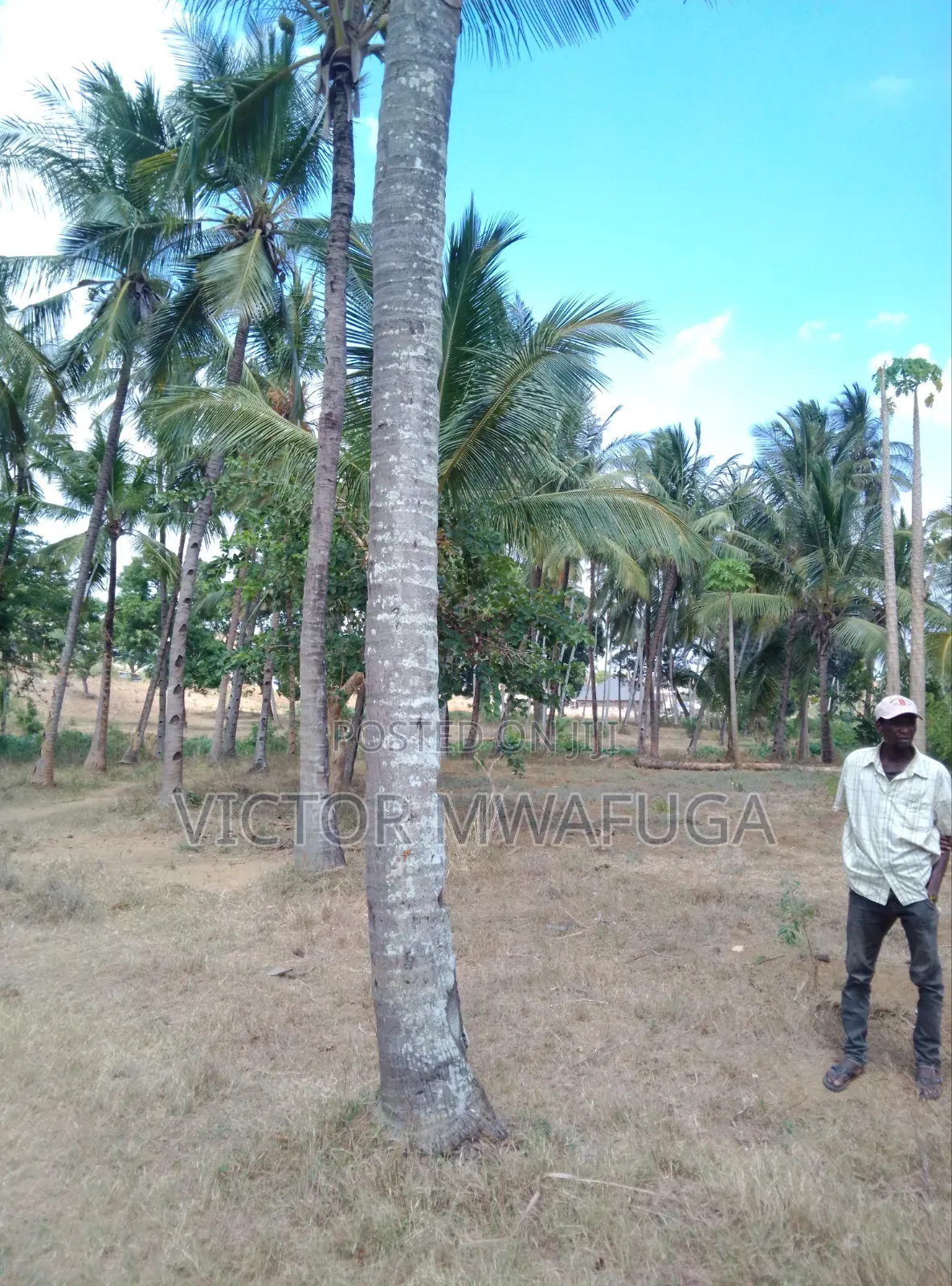 Land on Sale