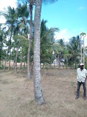Land on Sale