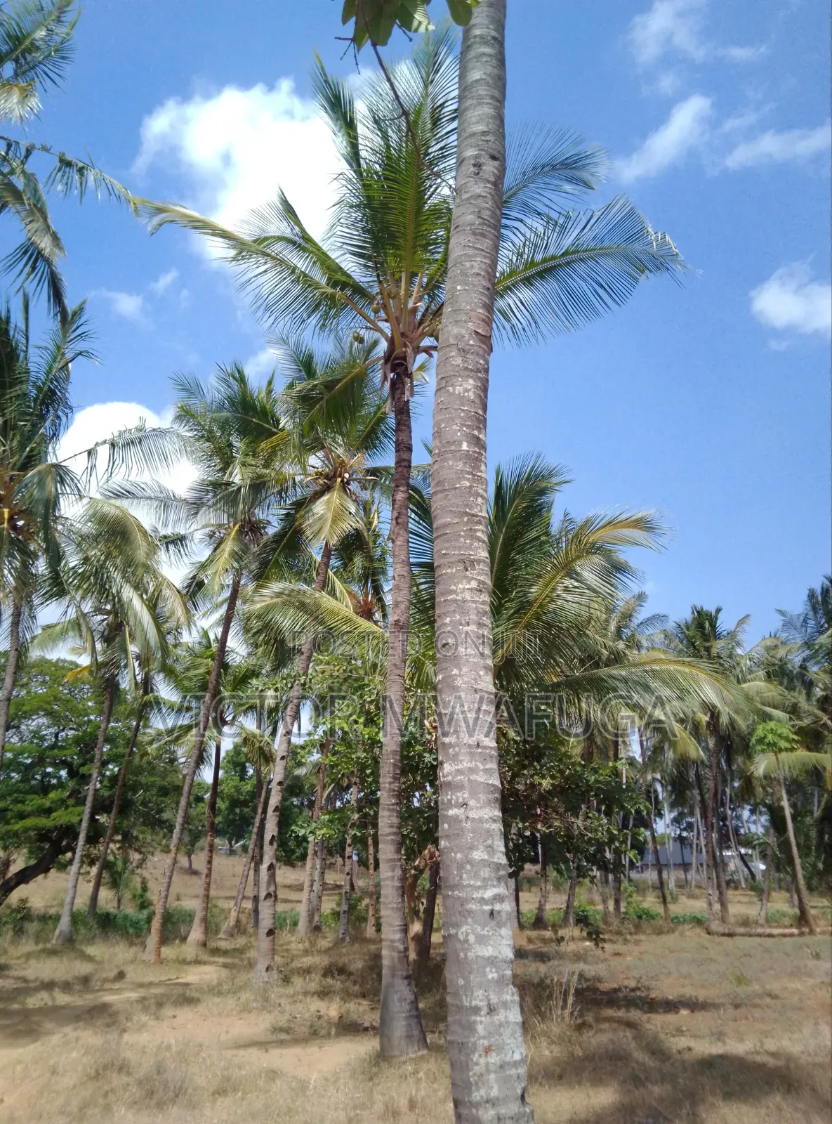 Land on Sale