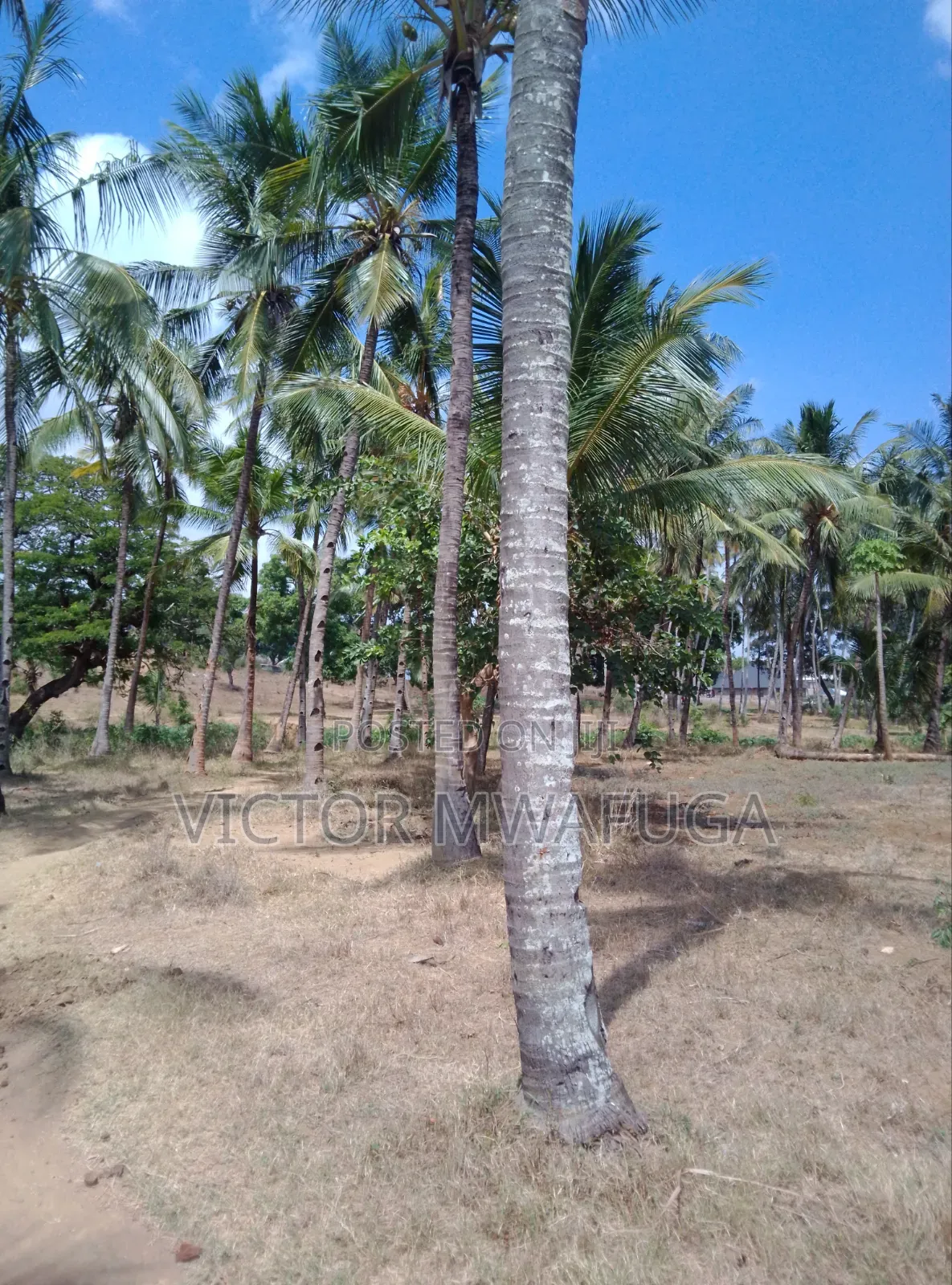 Land on Sale