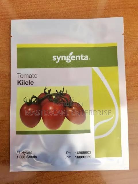 Kilele F1 Tomatoes Seedlings
