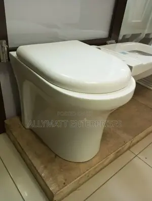 Back to Wall Toilet