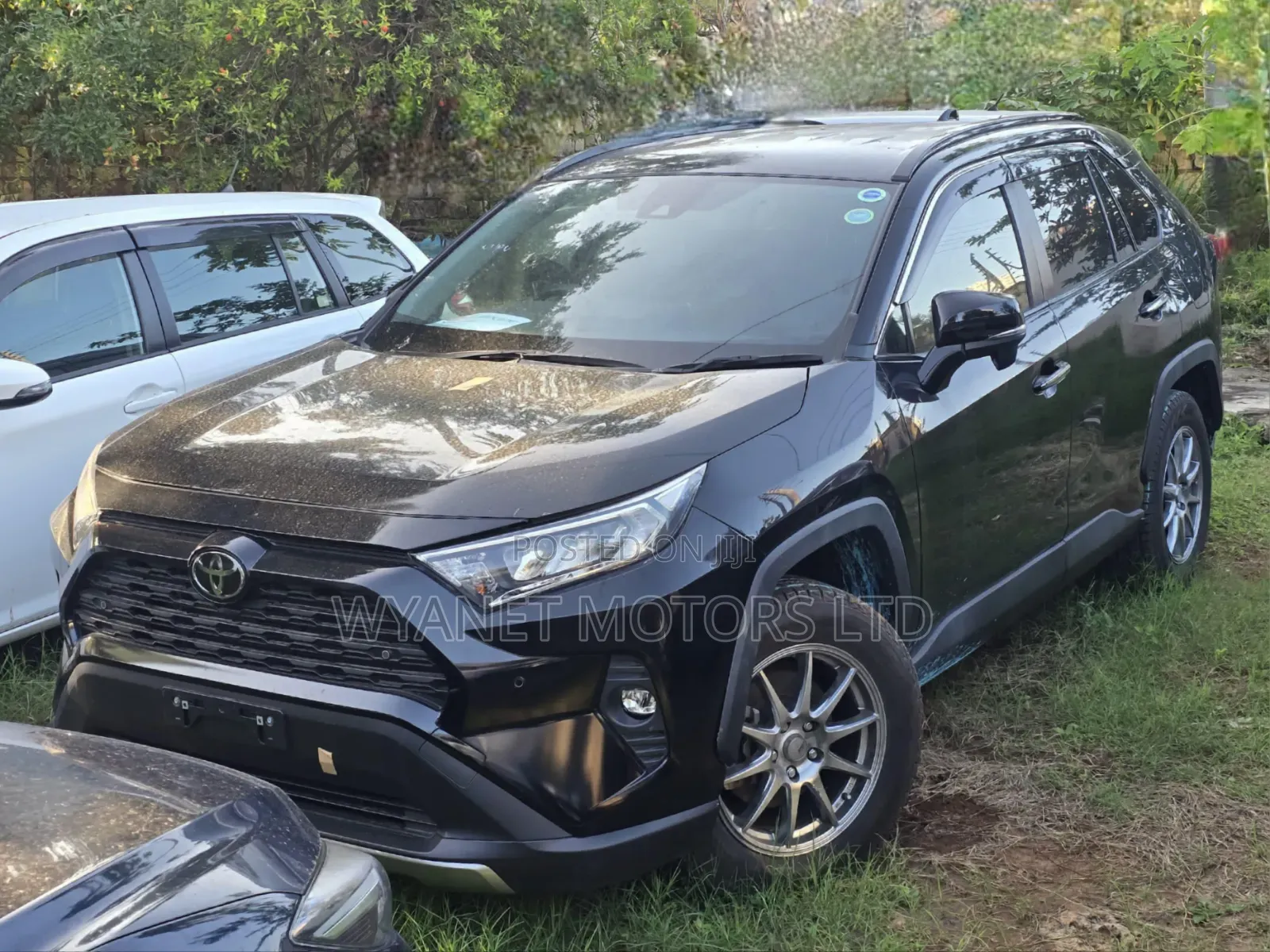 Toyota RAV4 2019 Black