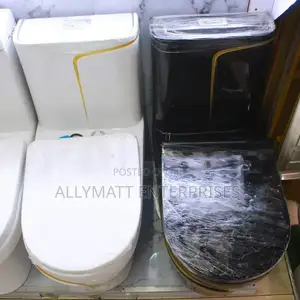 Coloured One Piece Toilet