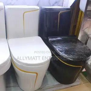 Coloured One Piece Toilet
