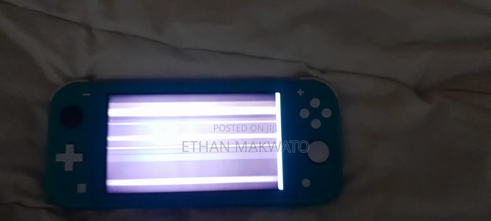Broken Nintendo Switch Lite