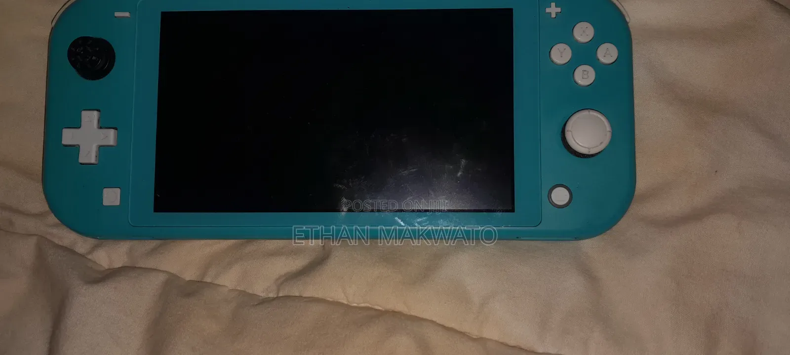 Broken Nintendo Switch Lite