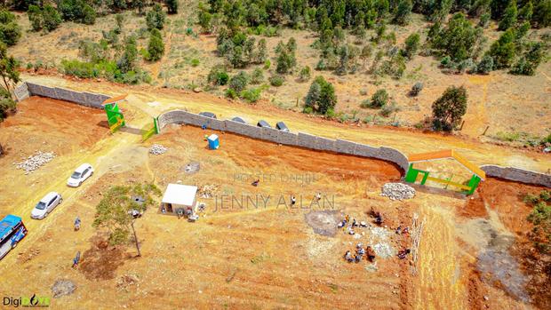 Plots in Ndiguini Nachu - thumbnail 4