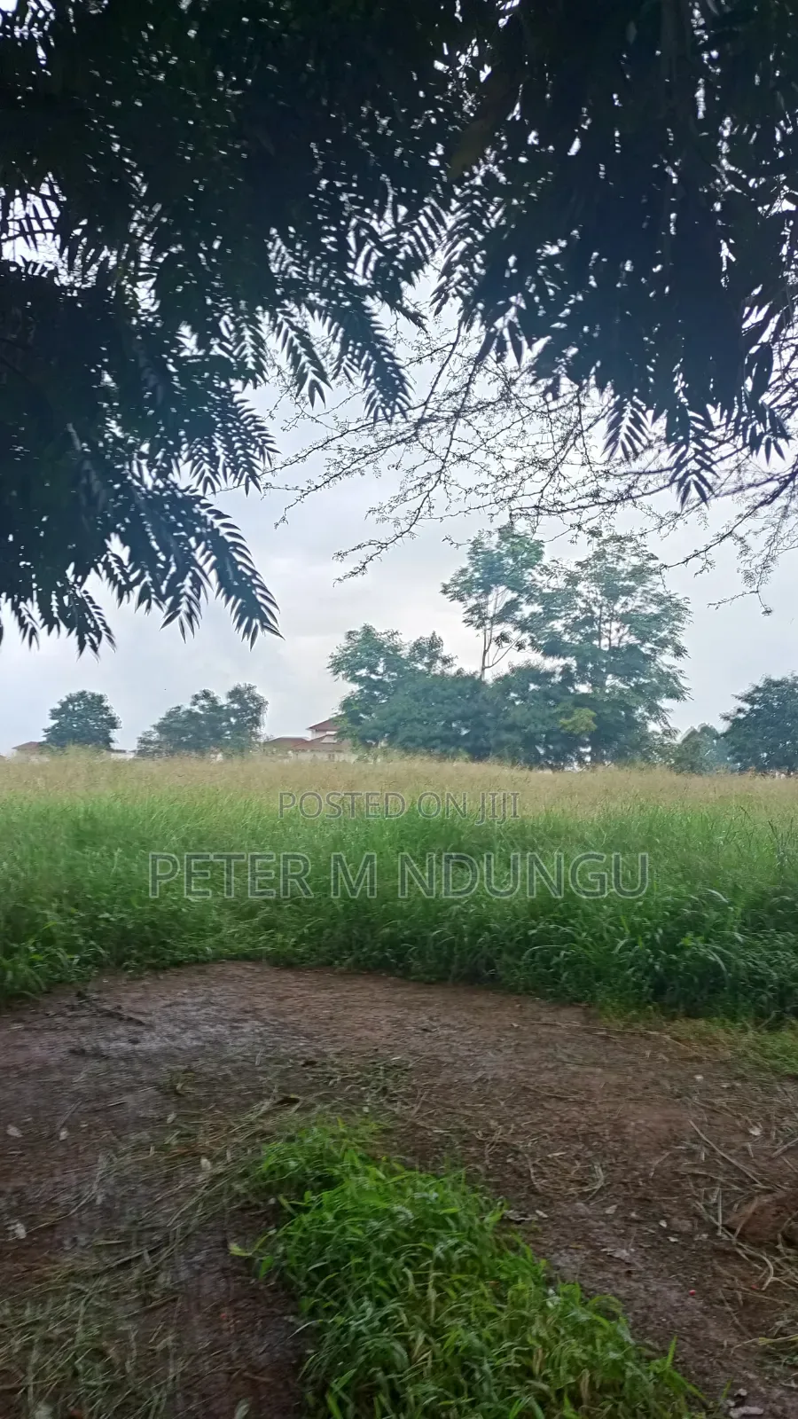 Kiambu Road Kasarini-Prime Five Acres, Flat Land Ideal for Townhouses