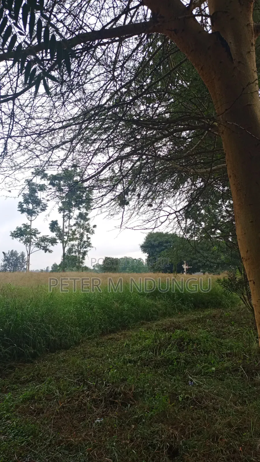 Kiambu Road Kasarini-Prime Five Acres, Flat Land Ideal for Townhouses