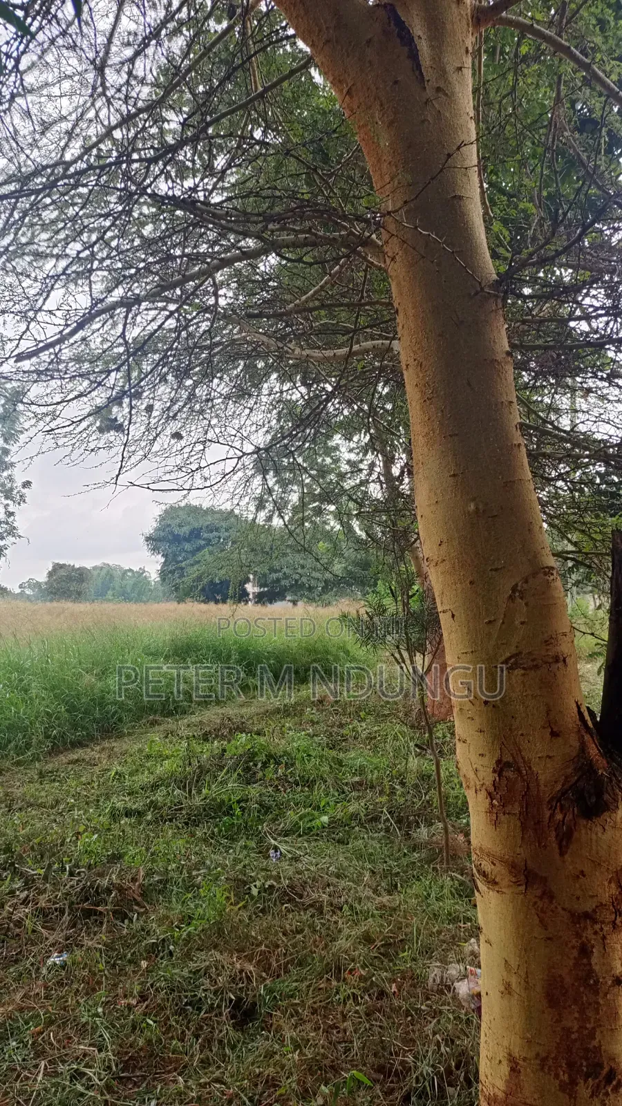Kiambu Road Kasarini-Prime Five Acres, Flat Land Ideal for Townhouses