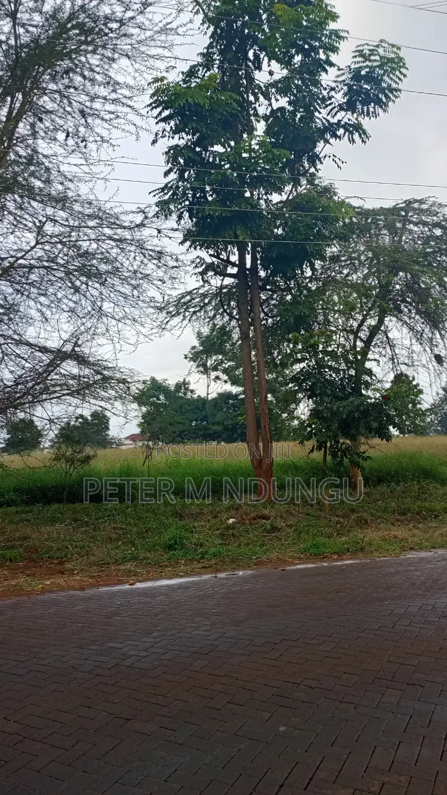 Kiambu Road Kasarini-Prime Five Acres, Flat Land Ideal for Townhouses