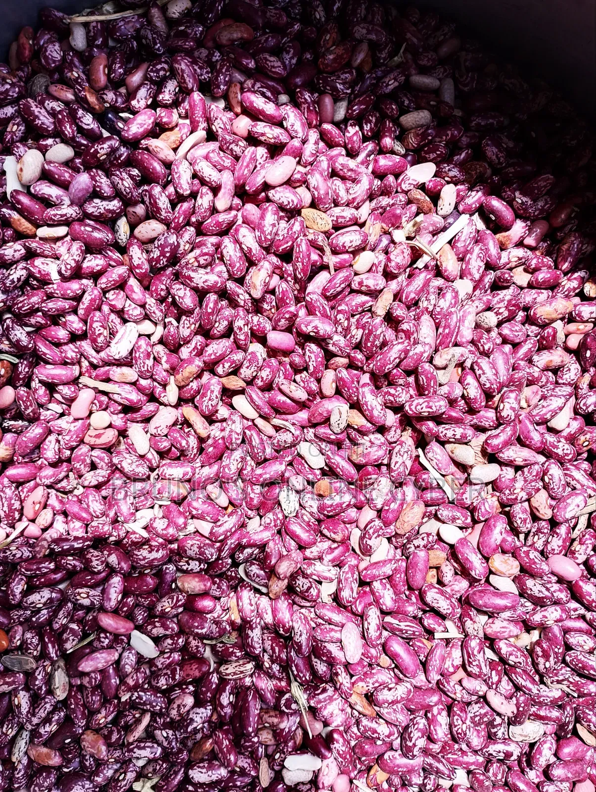 Nyota Beans