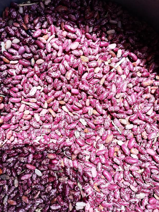 Nyota Beans