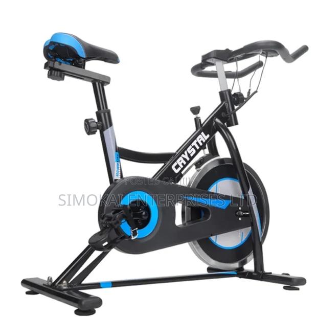 Crystal 15kg Flywheel Spin Bike for Home Use