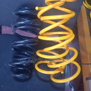 Brand New Japanese Toyota Fieder Heavy Springs