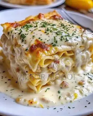 Creamy Lasagna