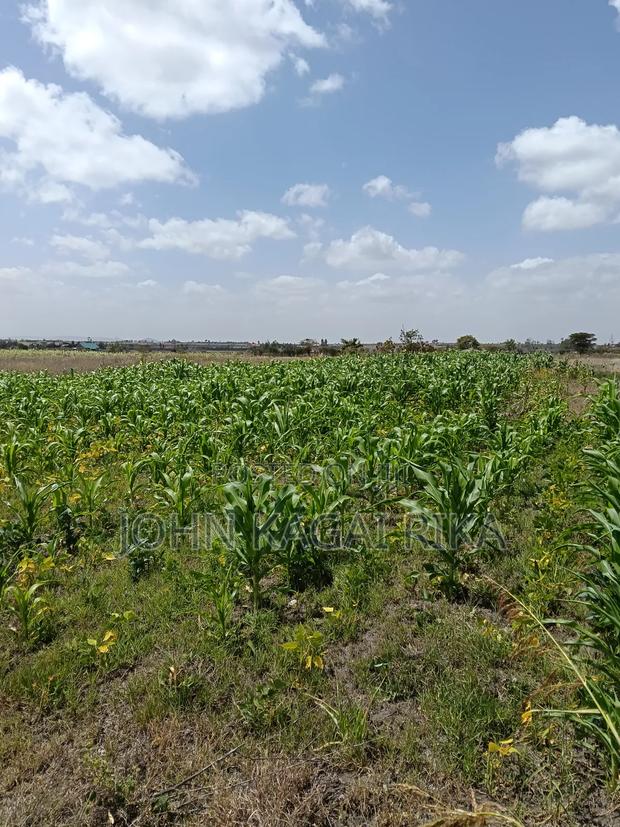 Development Land for Sale - thumbnail 3