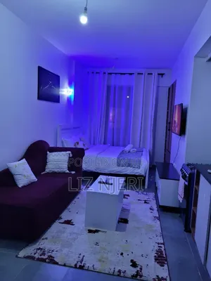 Furnished Superior Studio Kiambu Rd