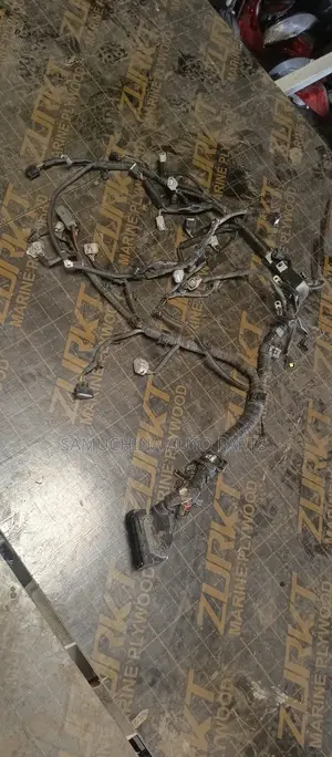 Complete Wiring Harness 1nz for Fielder 161 {2014}