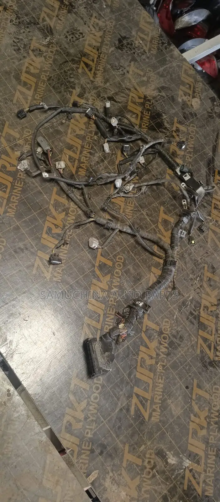 Complete Wiring Harness 1nz for Fielder 161 {2014}