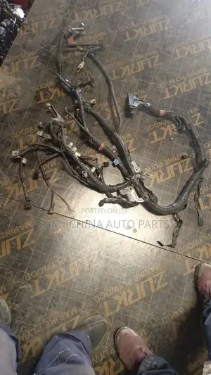 Complete Wiring Harness 3zr