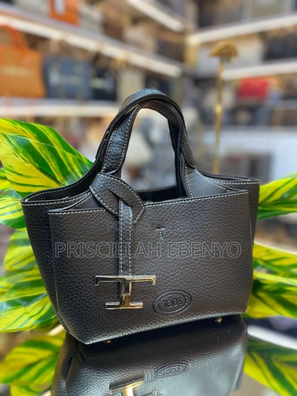 Elegant Tods Ladies Bags