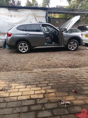 BMW X1 2017 Gray