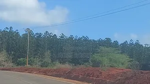 Plots for Sale in Malindi