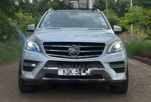 Mercedes-Benz M Class 2014 Silver