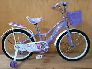 Ladies Bicycles Size 20