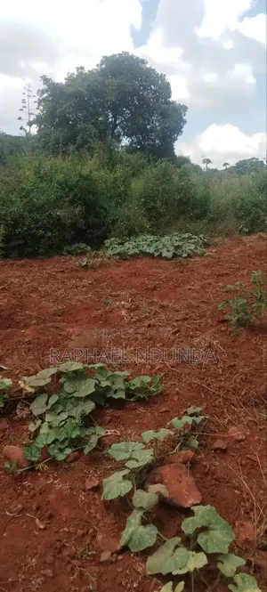 Plot on Sale - Kithimani, Yatta