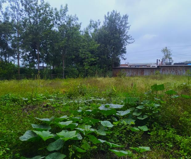 Prime 1/4 Acre Plot of Land in the Grown Rimpa Town!!
