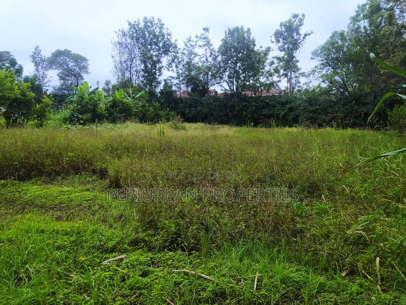 Prime 1/4 Acre Plot of Land in the Grown Rimpa Town!!