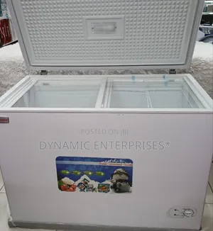 Premier Deep Freezer